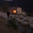 La lutte des éleveurs contre le puçage RFID des moutons peut apparaître comme un combat de plus. Pour certains c’est un combat comme un autre, un combat contre les obligations […]